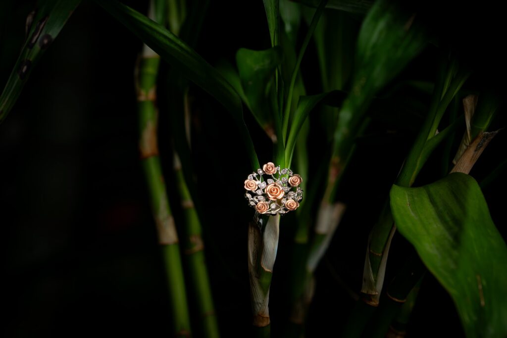 Jewellery photograph by SidduVerse — SID08542