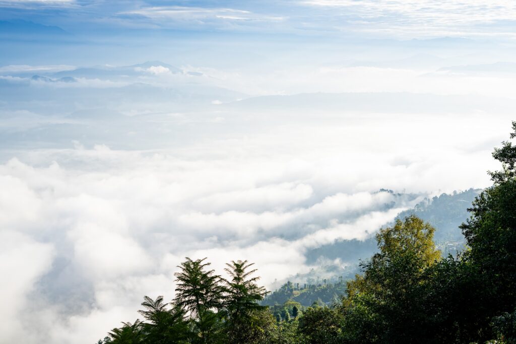 Nature photograph by SidduVerse — SID02955
