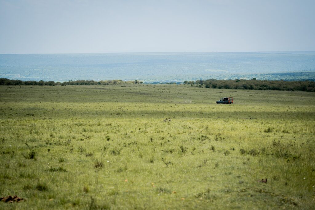 wildlife photograph by SidduVerse — SID00569